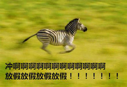 放假啦!我祭出这组国庆表情包来表达激动心情啦!