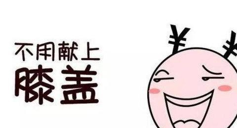 别在当小白了 教你如何买到便宜的车险