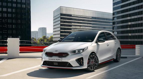 速递!新鲜的“小钢炮“资讯全在这，看我就够了