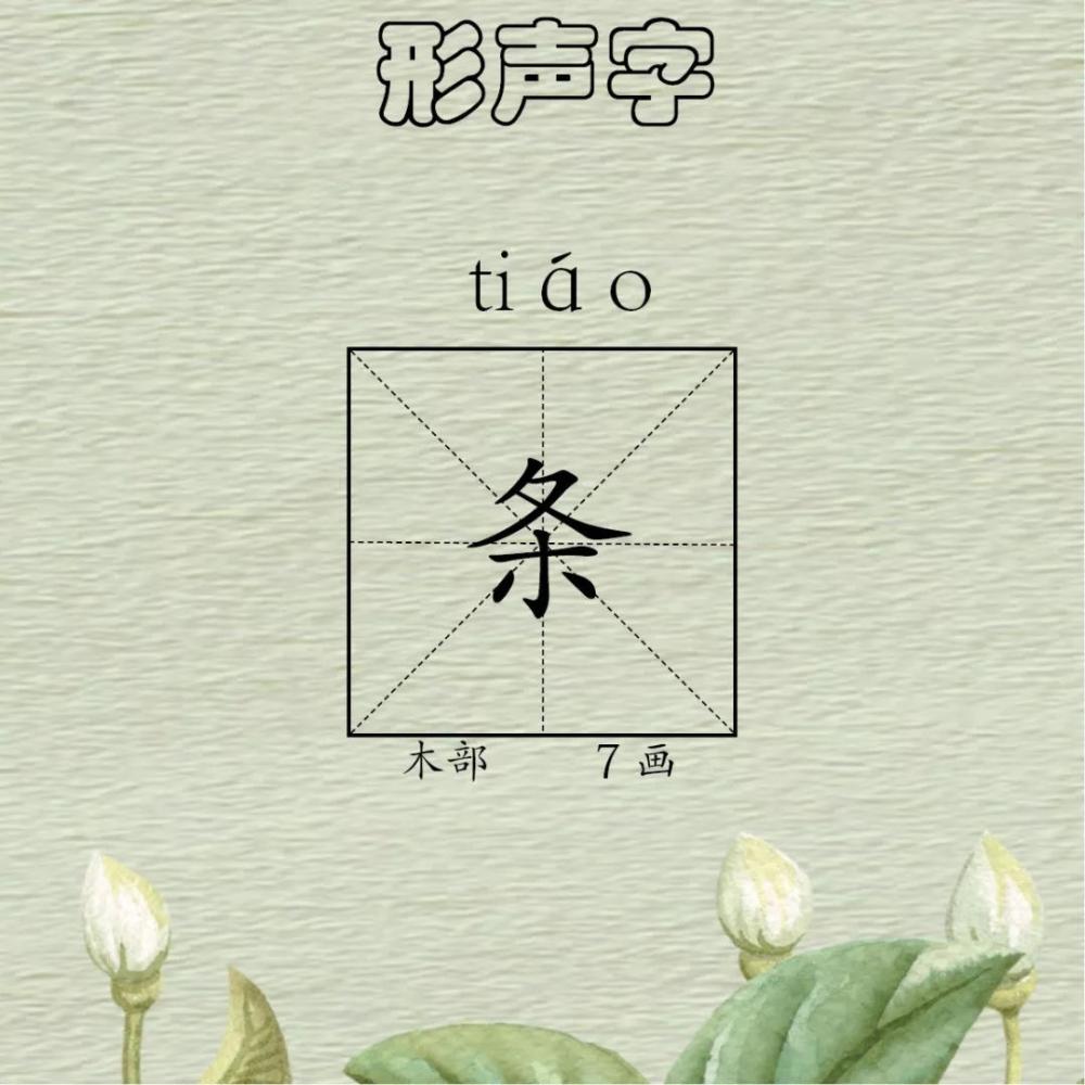 作文领航——每日一字《条》·形声字