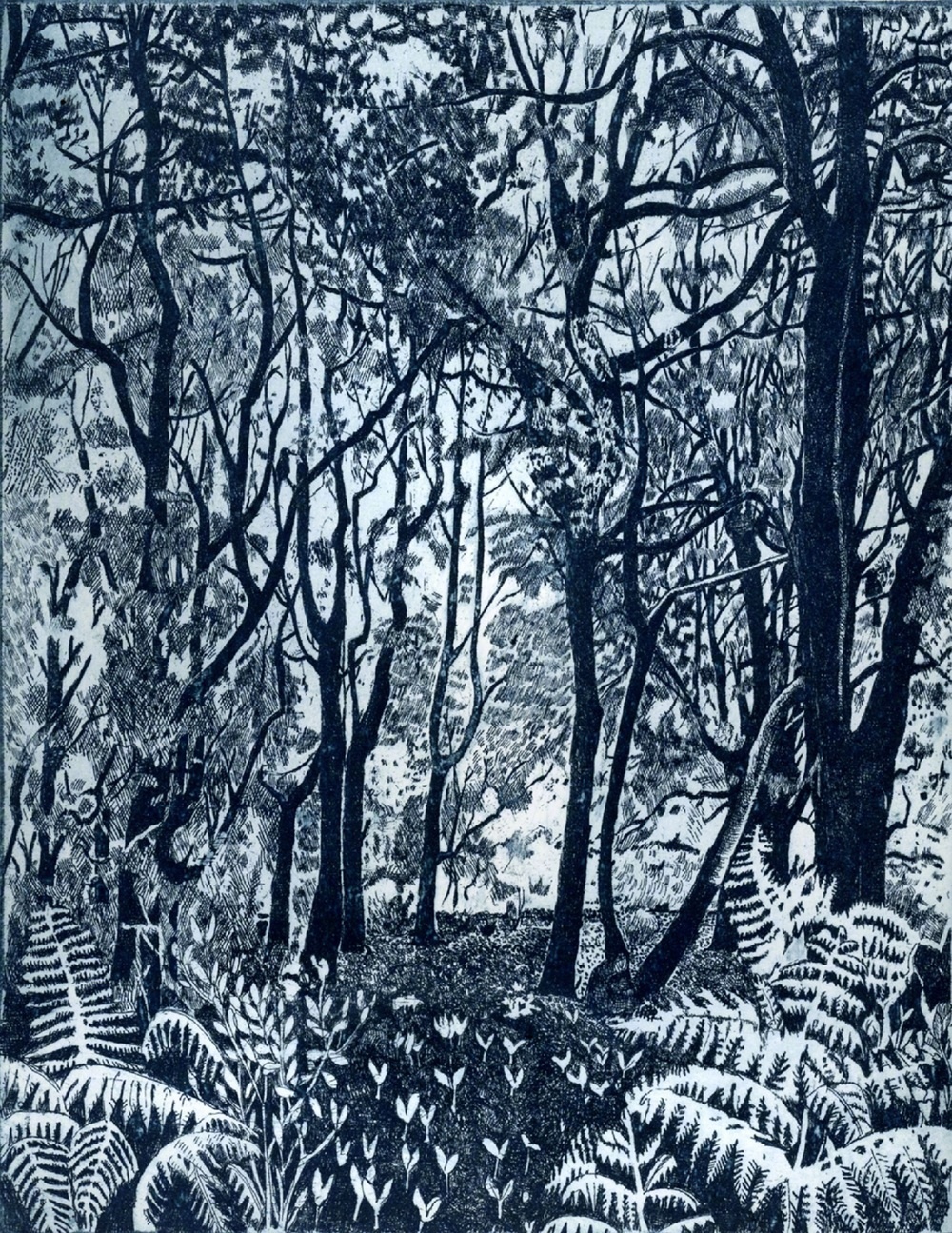 英国艺术家 janis goodman 版画(蚀刻)作品  特别声明:以上文章内容