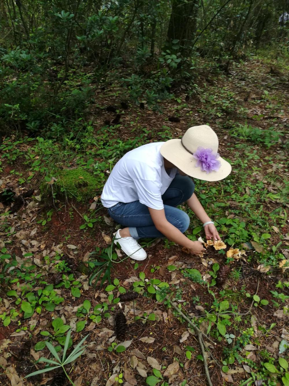 雨后来这山头溜达, 童话般的碰上了采蘑菇的小姑娘