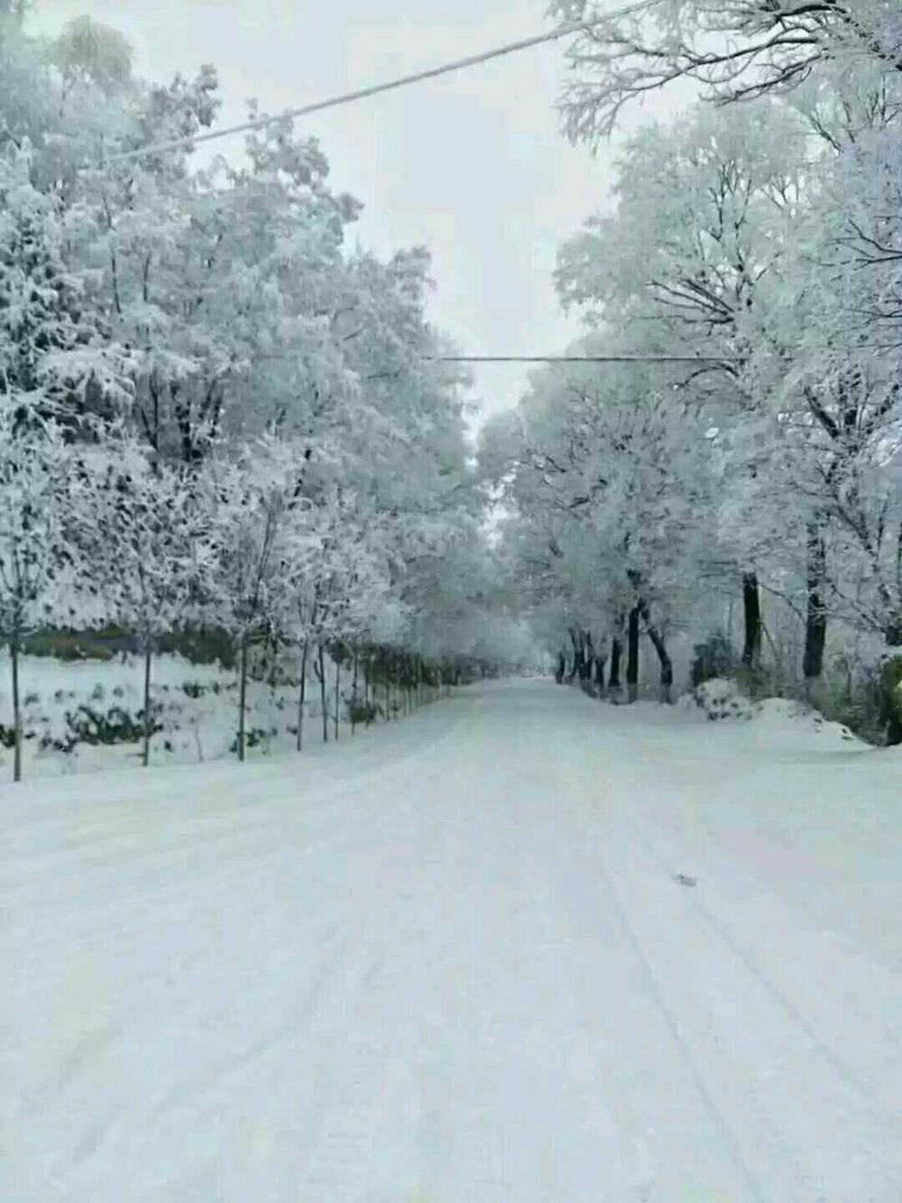 西安临潼大雪纷飞的风景, 景色像仙境一样美, 你去旅游欣赏过吗?