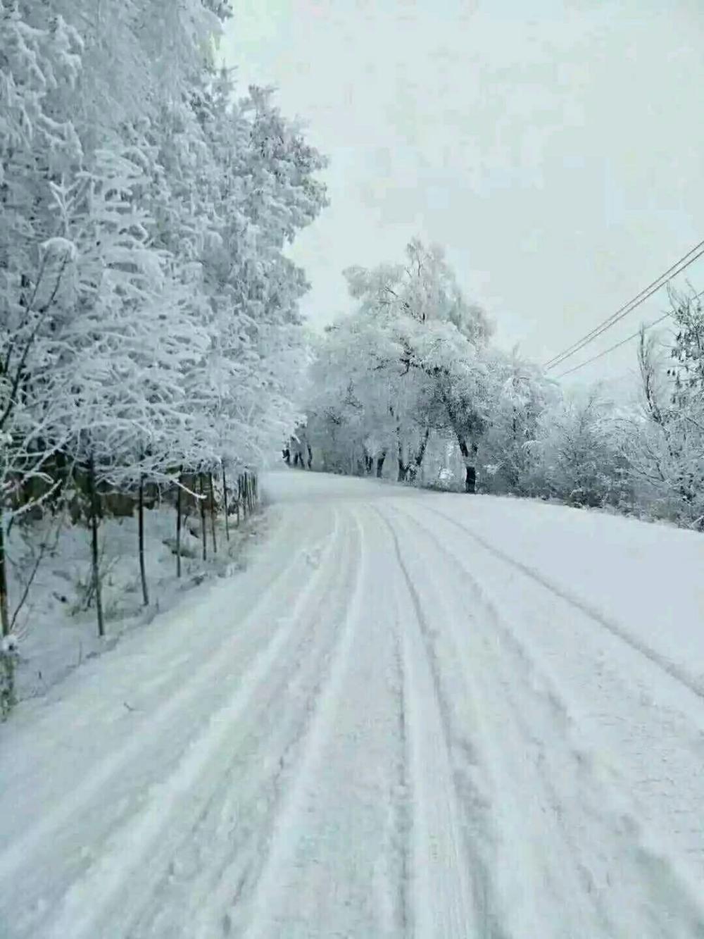 西安临潼大雪纷飞的风景, 景色像仙境一样美, 你去旅游欣赏过吗?