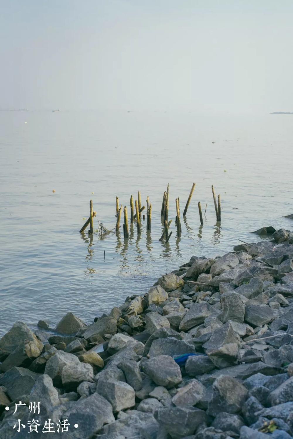 广州适合一日游的海鸥岛, 你去过吗?