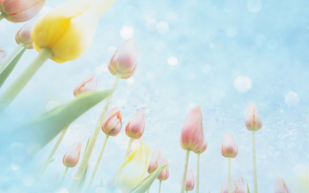 小清新气质是什么意思 如何理解小清新风格