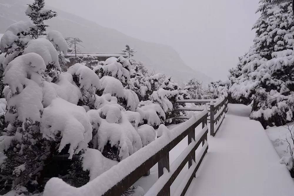 下雪了!下雪了!2018年昆明第一场雪来了!