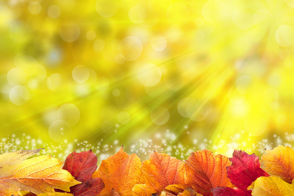 宽恕，不是为了别人，而是放过自己!