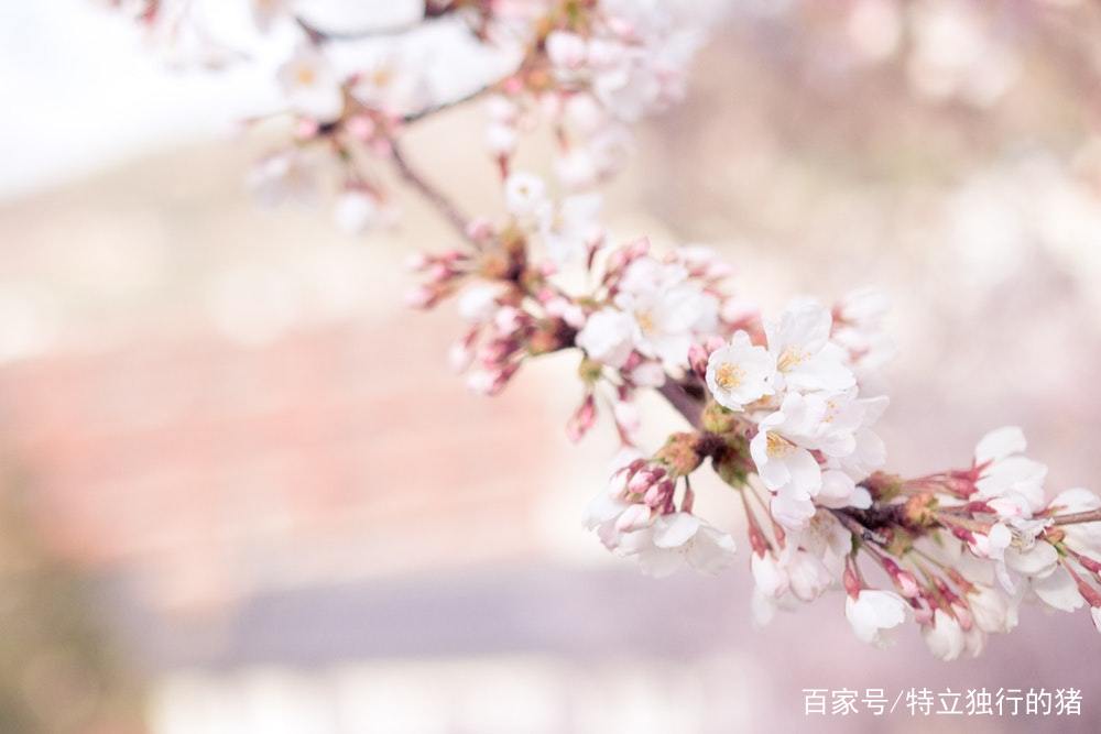 这几个星座男最会花言巧语哄女生了,女生们千