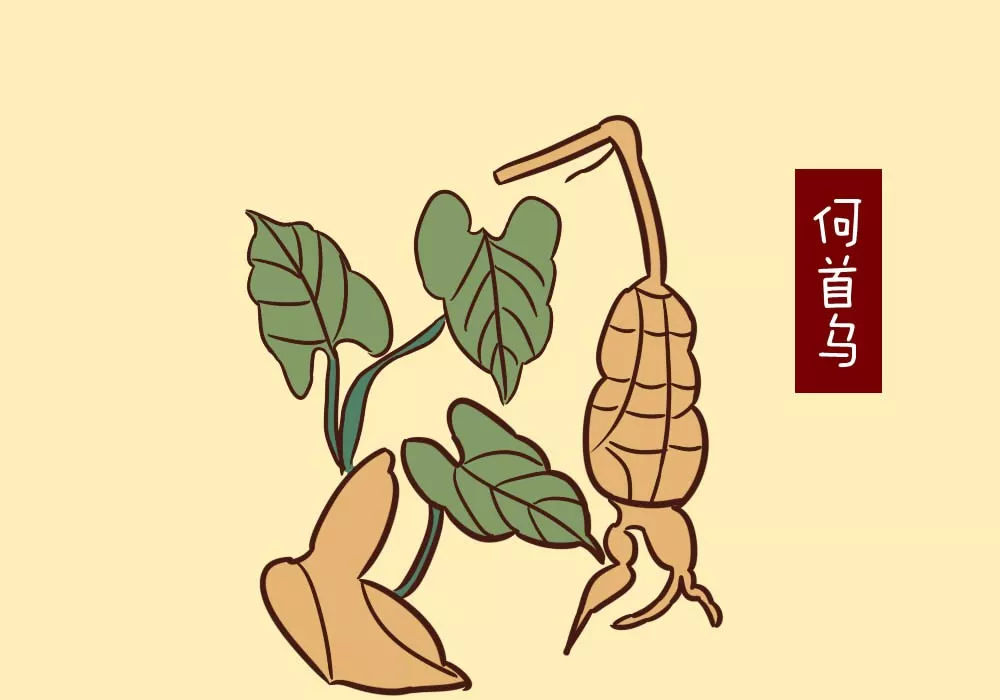 给宝宝调理身体的补药,竟把他送进急救室.