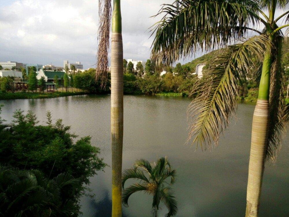 珠海又一人造景点, 没落了早已关闭, 当初号称全景式生态园！