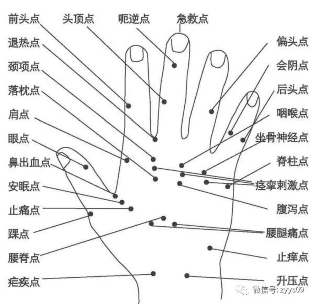 艾灸治好胆结石的原理_胆结石可怕吗 艾灸能把胆结石灸成泥沙状(2)