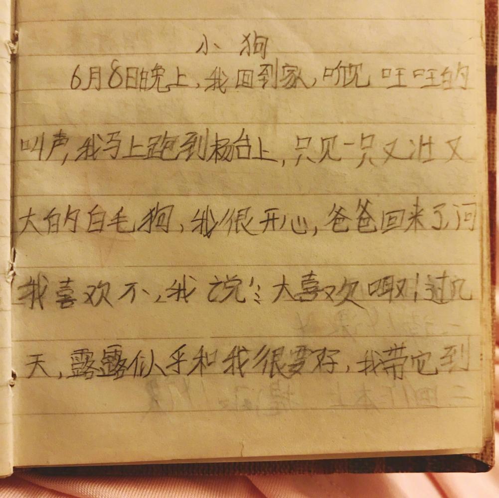 张馨予晒小学手写作文, 称自己笑出猪声, 老师的