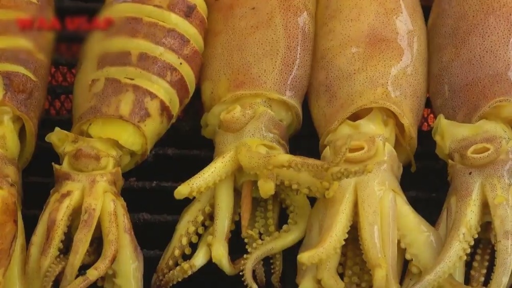 怎么收拾鱿鱼视频 aed2-fypyuvc4767748.jpg