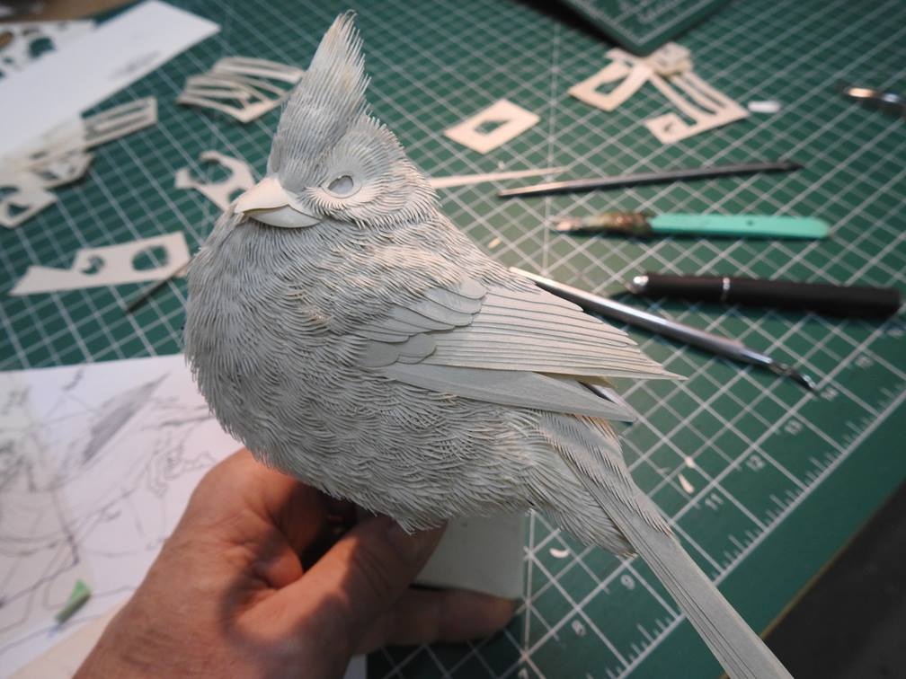 栩栩如生的动物纸浮雕肖像 | 加拿大纸艺术家 calvin