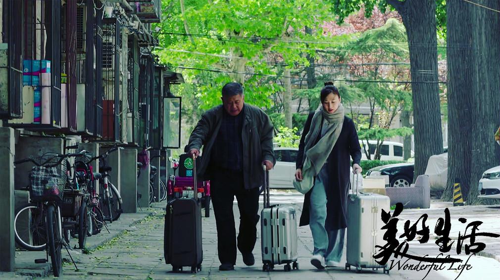 电视剧《美好生活》李小冉, 张嘉译同款行李箱