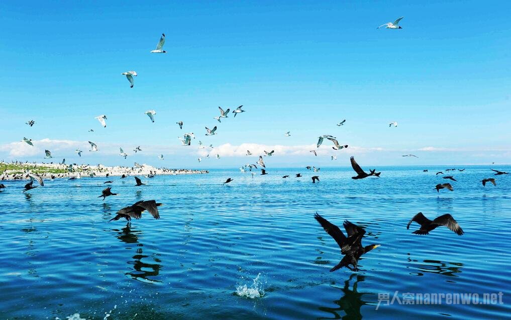 8月份去哪里旅游好 国内国外自有好去处