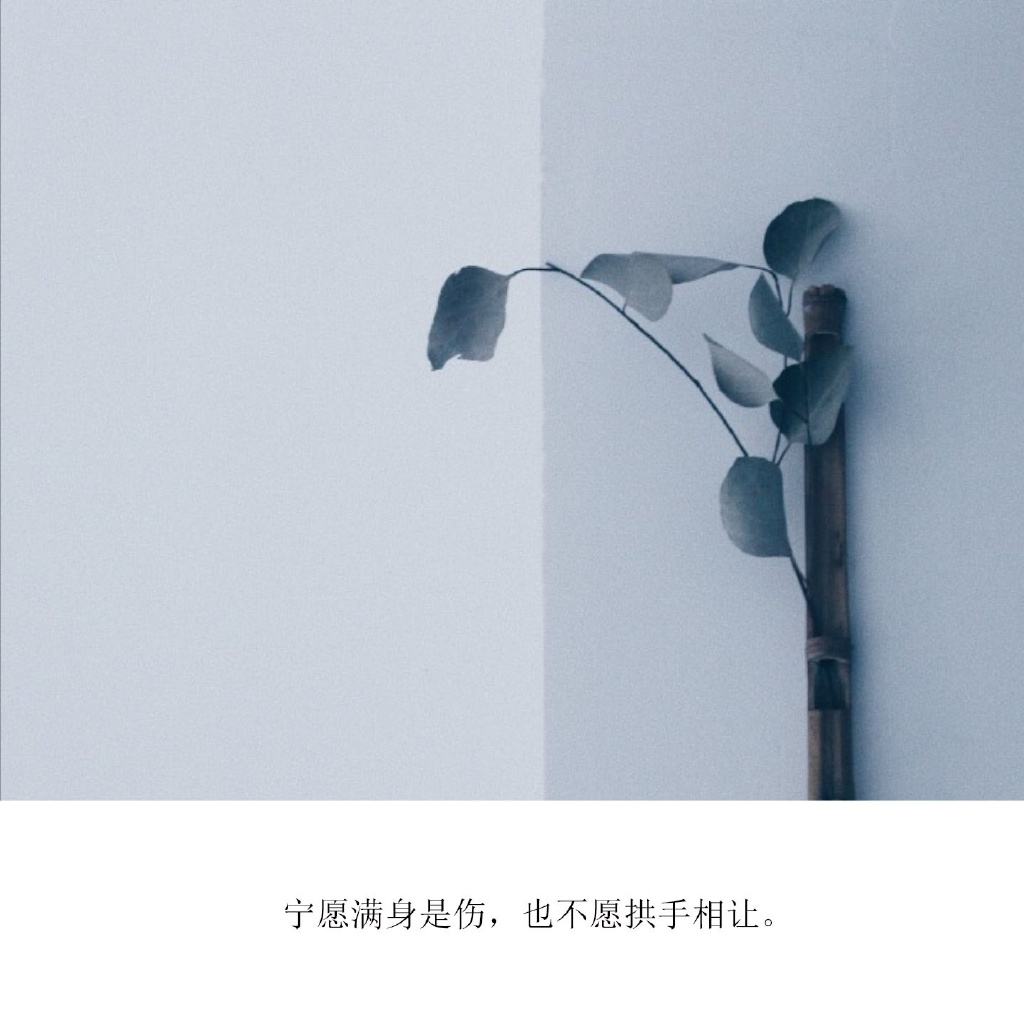 为什么女生明明对男生有好感,却从不轻易被撩