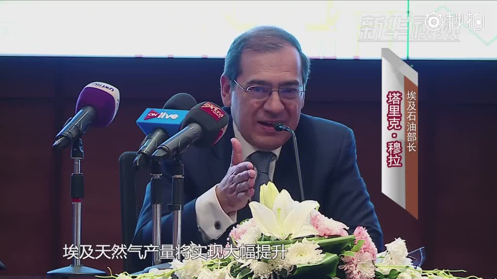 埃及石油部长:2018年底埃及将实现天然气自足