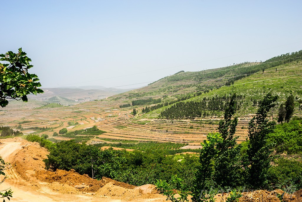 潍坊,安丘辉渠镇,城顶山北坡,梯田