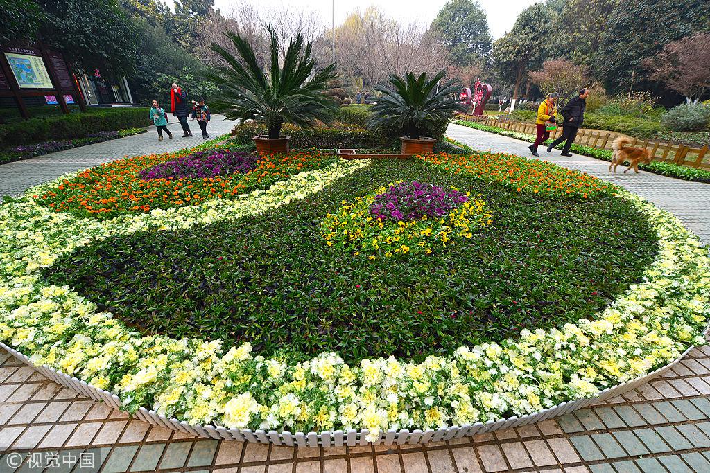 园林工人在樊城人民广场摆放鲜花.