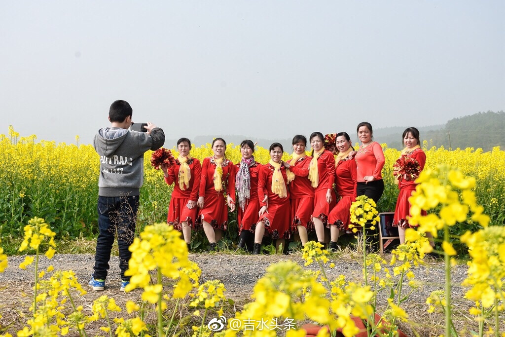 吉水县乌江镇油菜花旅游节美景大图(一)