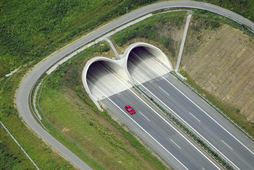 全国最长的公路隧道,总投资25.8亿元,素有天堑变通途之称!