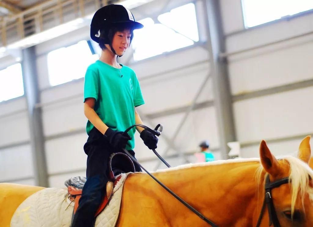 小学生寒假活动感受怎么写?这名小学五年级学