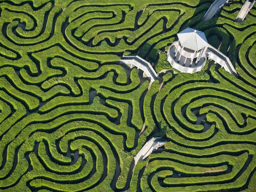 风滚草在美国泛滥成灾，入侵多座城市，为什么在我国却...