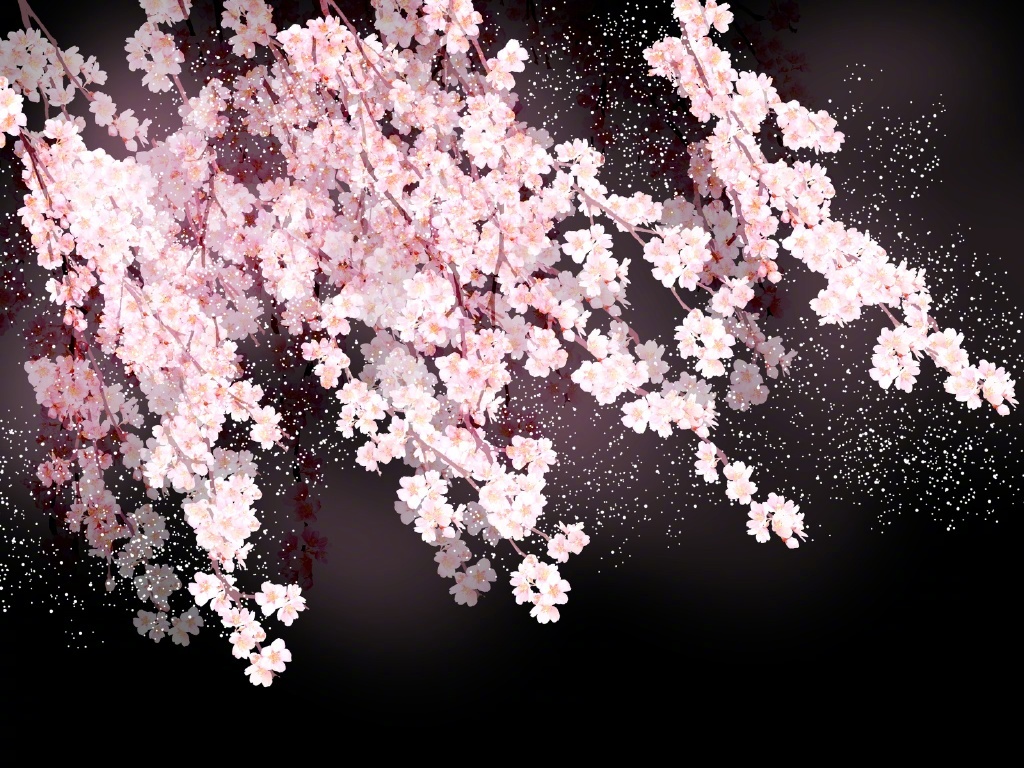 整理分享一组超好看的樱花枝&紫藤蔓png素材!下载