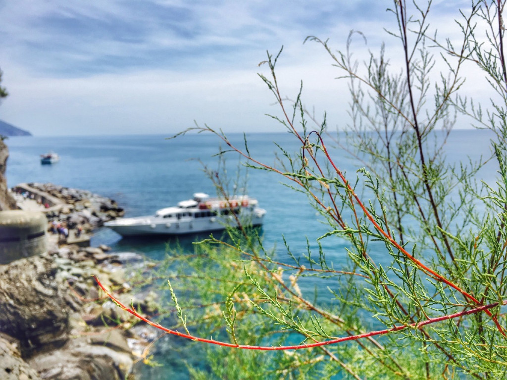 意大利东北部著名的旅游与工业城市-威尼斯