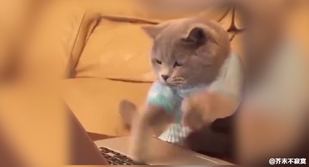 要说喝酒,我只服这哥们!