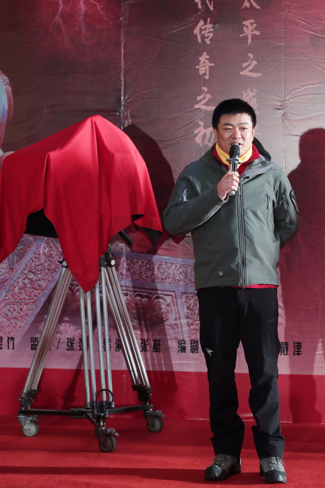 导演张挺