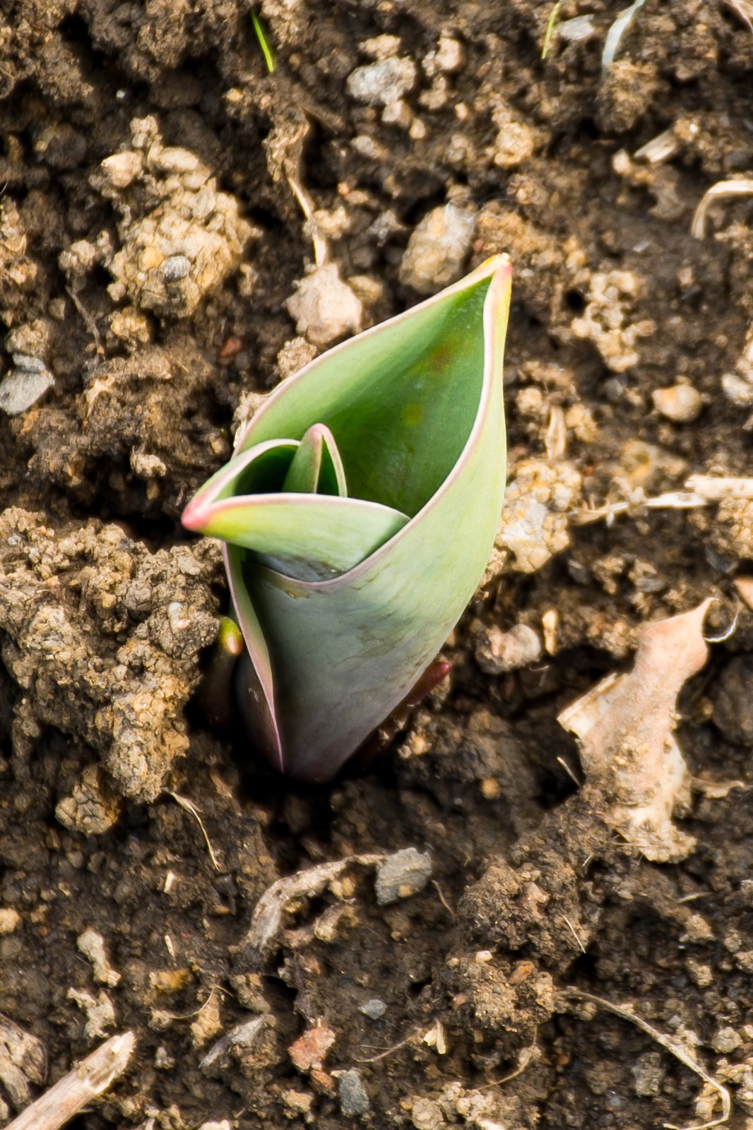 苏州上方山--自然与人文和谐的地方