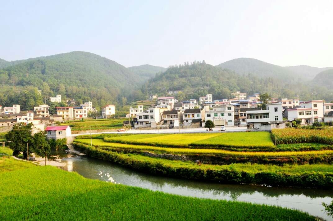 委员:在海南建设全国乡村振兴战略先行试验区