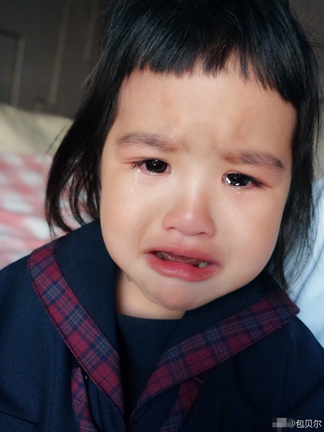 饺子满脸泪水好委屈,一脸"生无可恋"的表情真是让人心疼啊.
