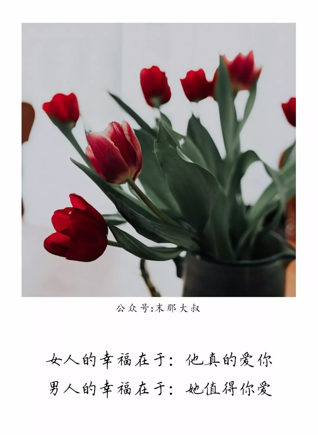 "懂你的人最温暖,平凡的陪伴最心安"