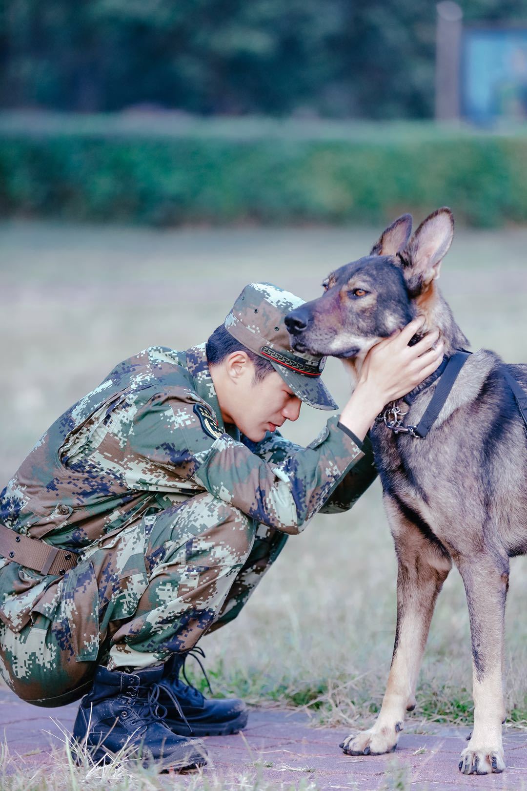 《奇兵神犬》今晚大结局 姜潮不舍落泪昆龙送惊喜