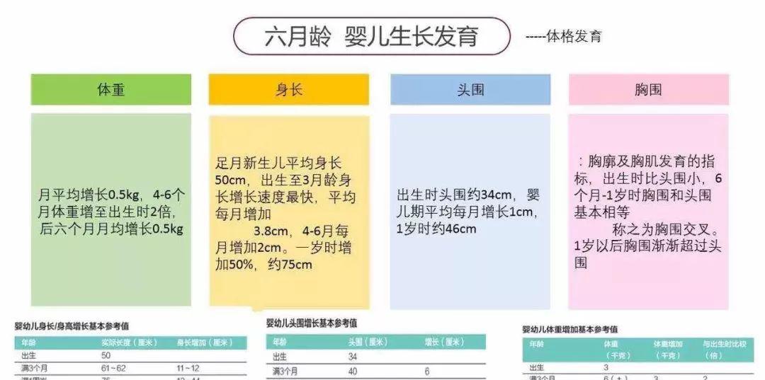 什么时候给宝宝添加辅食,目的和重要性是什么