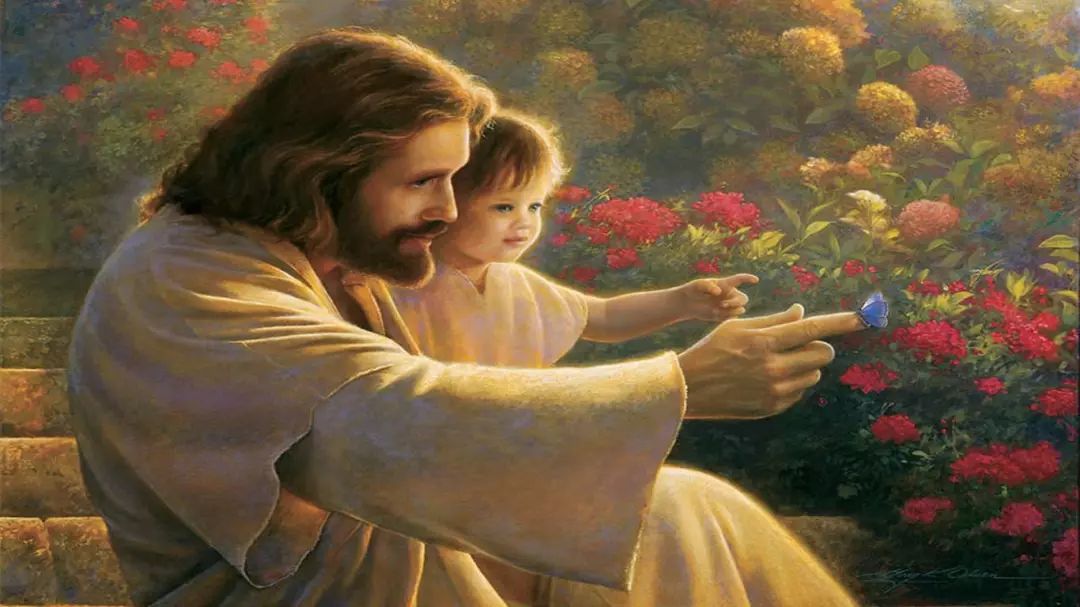 【随笔】 灾难中的怜悯