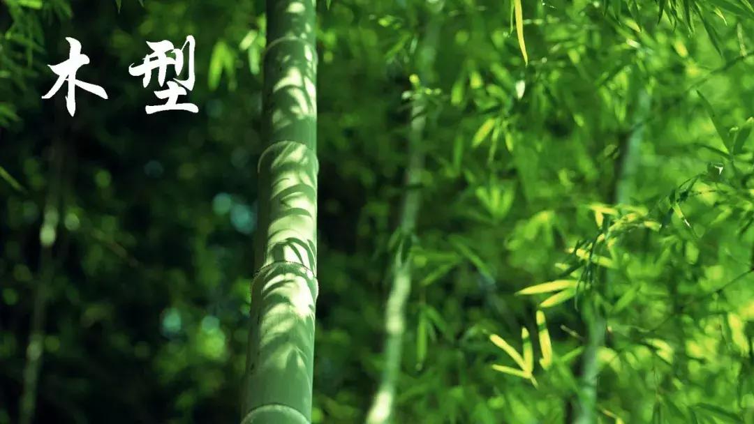 你属于哪种五行的          鼻梁笔直修长不带肉,          木型
