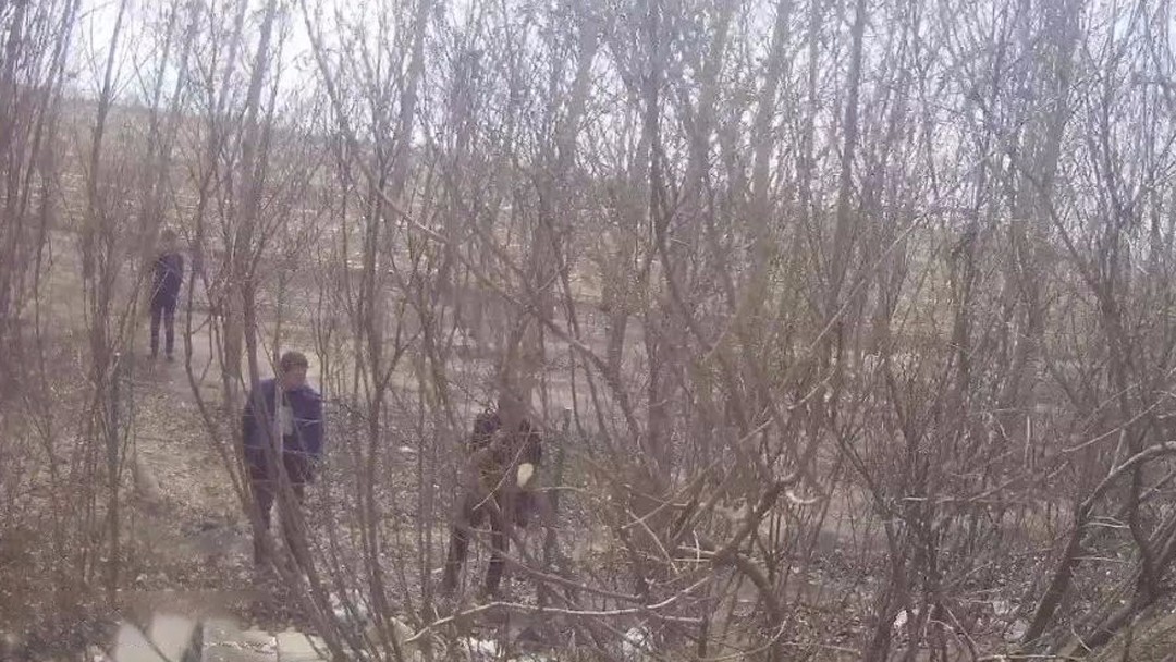 行人高速应急车道徒步,为逃避检查藏小树林