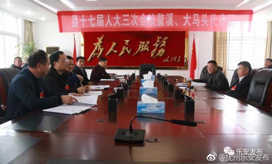 乐安县委书记彭银贵与代表、委员审议和讨论政