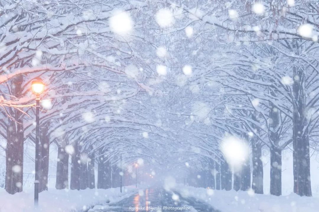 日本一网友拍了一组下雪的照片一夜之间惊艳了朋友圈