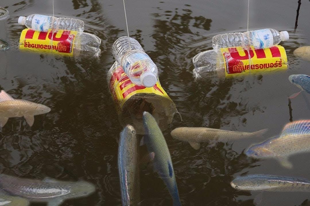 塑料瓶改造捕鱼神器,1小时抓十几斤鱼,太厉害啦!