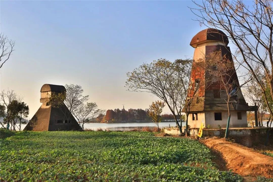 传说这是武汉人最喜欢的地方,无人不沉迷她的美丽