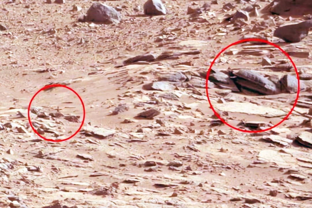 如果不是这个视频,你根本不知道火星上真的有生命