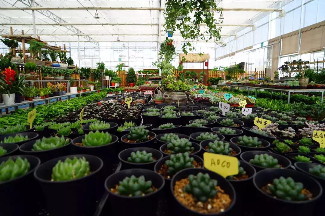 超实用! 成都各大批发市场的攻略都在这了