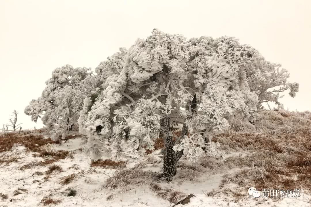 【莆田视野】石谷解的雪！
