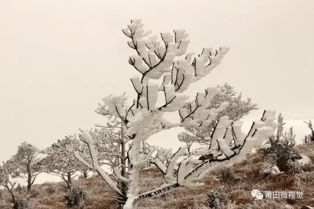 【莆田视野】石谷解的雪！